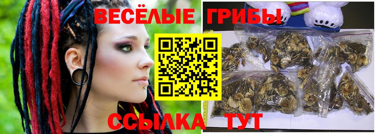 Истра  Псилоцибиновые грибы GOLDEN TEACHER  Псилоцибиновые грибы GOLDEN TEACHER  Вход с VPN 