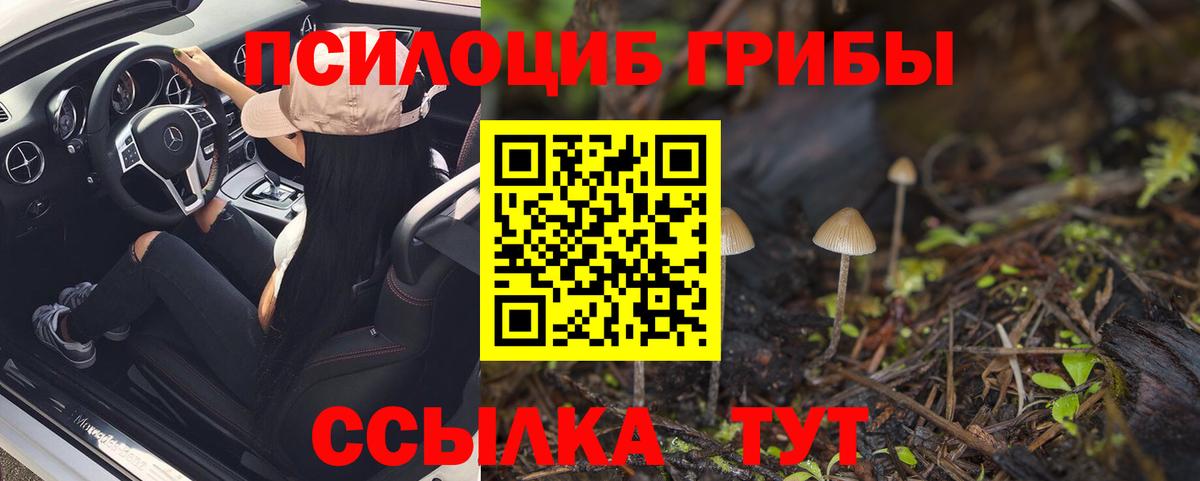 Псилоцибиновые грибы Psilocybine cubensis Истра
